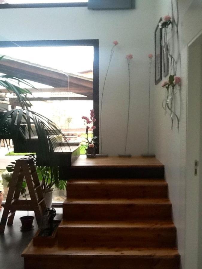 La Posada De Las Casitas Ampudia Dış mekan fotoğraf